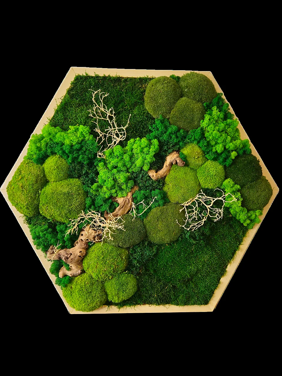 Machový obraz hexagon s drevom, Mach a drevo, Hexagón, Rozmer na vyžiadanie