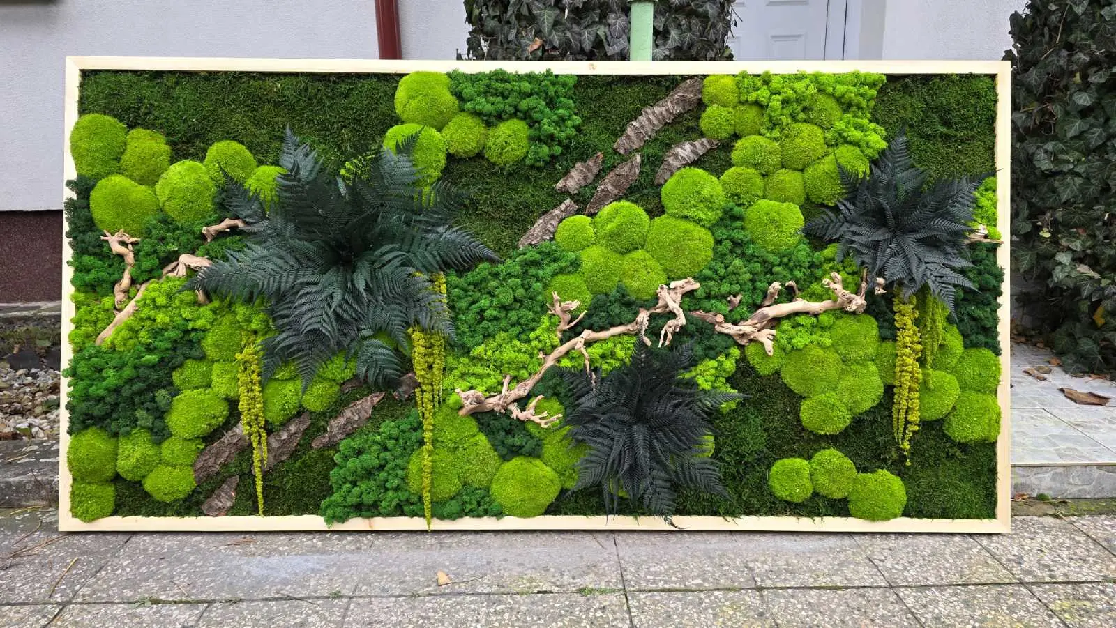 Veľkoformátový machový obraz Lesný reliéf 100 × 200 cm so stabilizovaným machom, papraďou a drevom v svetlom ráme